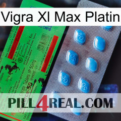 Vigra Xl Max Platinum new03